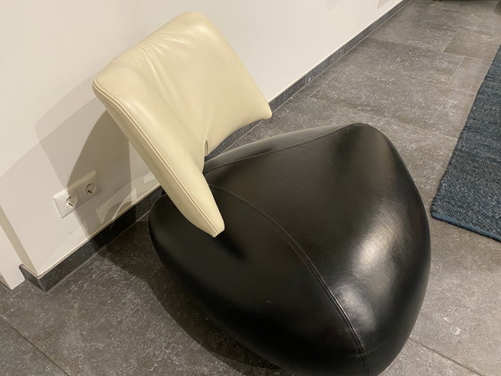 Image 1 of Leolux Pallone negro con