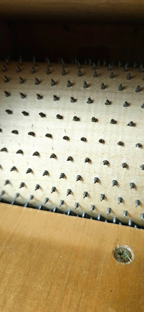 Image 1 of Grattugia per parmigiano Cantoni in legno vintage | Design italiano di metà secolo