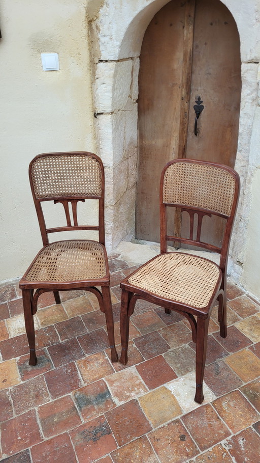 Art Nouveau Bentwood Chairs / Fischel (*2)