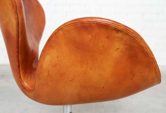 Image 1 of Sedia Swan disegnata da Arne Jacobsen per Fritz Hansen
