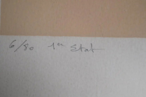 Litografía original de Frédéric Vidalens de los años 80, numerada 6/80, 1er estado y firmada por el artista (photo 3 of 9)