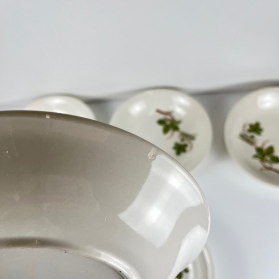 Image 1 of Juego de 5 platos hondos Villeroy & Boch con diseño de vid.