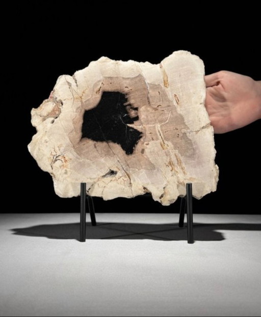 Madera fosilizada de Sooka, soporte hecho a medida (nuevo)