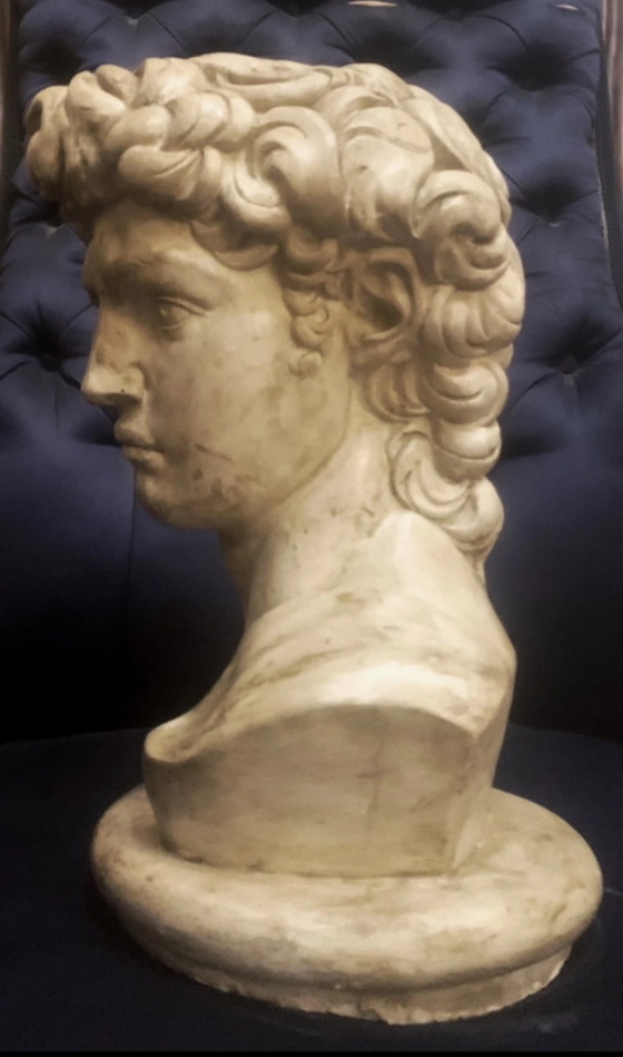 Image 1 of Bust of David Michelangelo, handcrafted in 2000