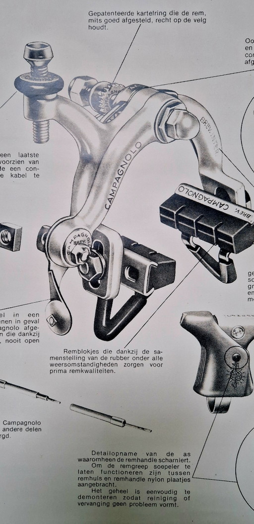 Vintage Campagnolo poster