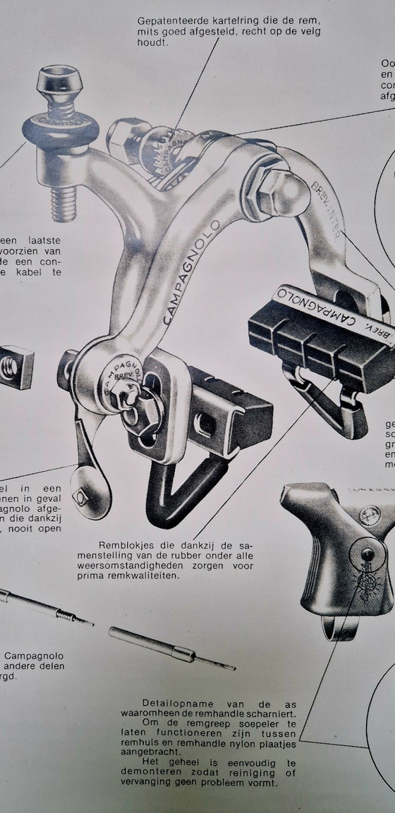 Image 1 of Manifesto Campagnolo d'epoca
