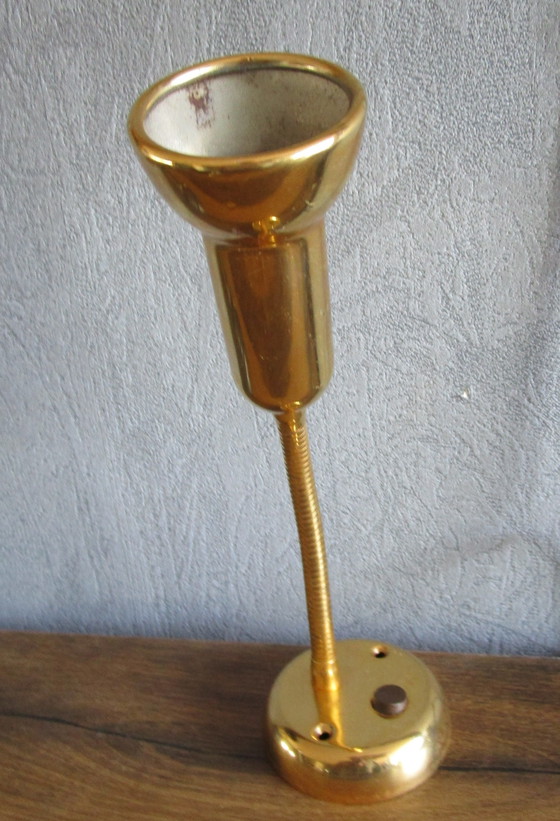 Image 1 of Vrieland Golden Spot