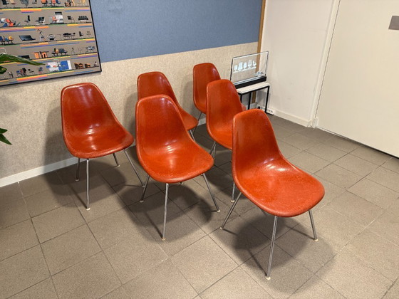 Image 1 of Herman Miller | Charles & Ray Eames | DSX | Terracotta Fiberglass – Chrome steel base | 6x