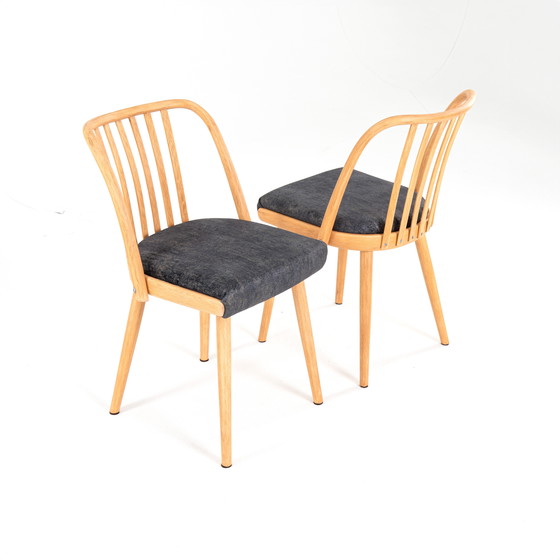 Image 1 of 4x dining chairs by Antonin Suman for Jitona 1960s