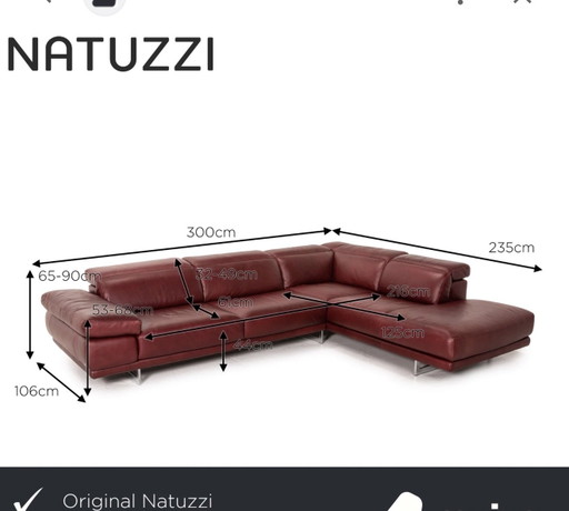Divano Natuzzi – hoekbanken, Leather, Metal