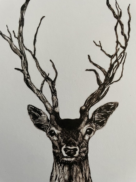 Image 1 of Affiche de dessin dans un cadre français