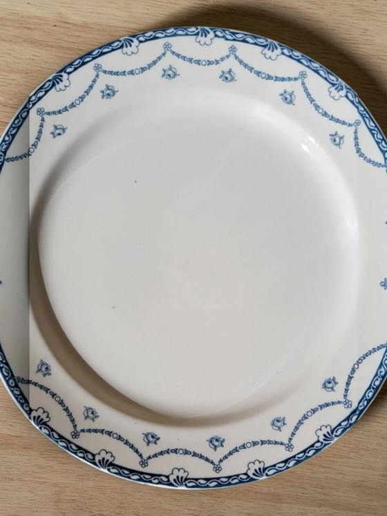 Plato redondo semihondo de loza inglesa "Cheltenham" — F. Winkle & Co. – Porcelain, Art Nouveau (photo 2 of 6)