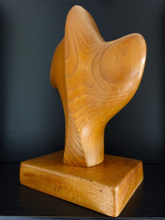 Image 1 of Abstract in Hout