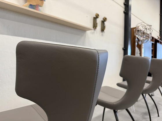 Image 1 of 4 Leolux Callas Dining Chair Wapiti Triel Artisan Chair