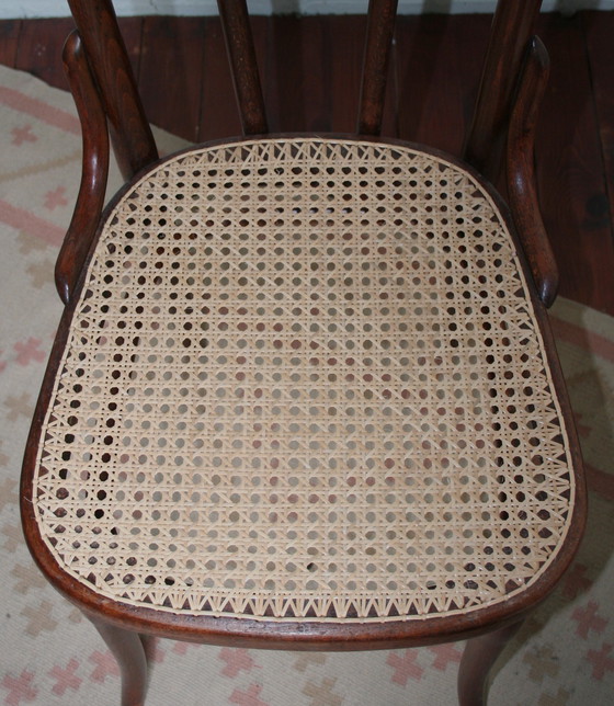 Image 1 of Alter restaurierter Thonet Typ N°56