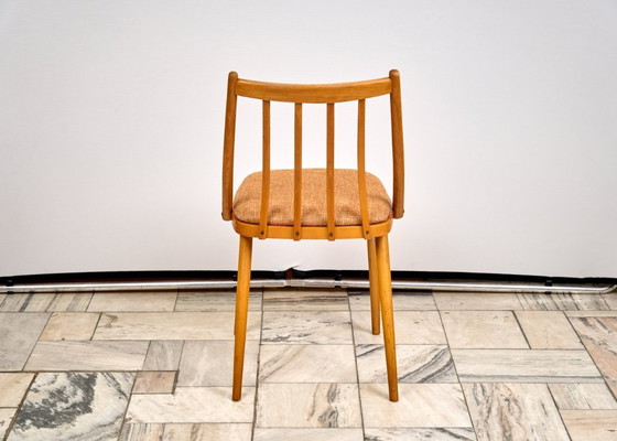 Image 1 of Set van 3 eetkamerstoelen van A. Suman, jaren 60, Tsjechoslowakije