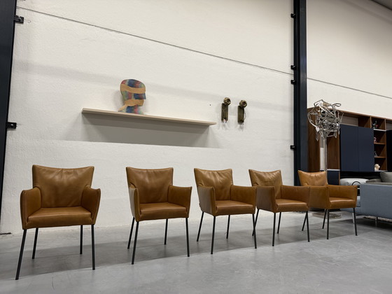 Image 1 of Sedia da pranzo Mali Vandenberg 5 Label Bovino Natural