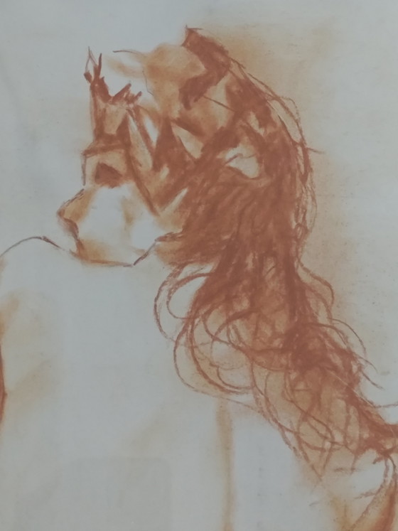 Image 1 of Sanguine Nu