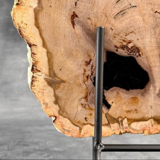 Image 1 of Magnifique pièce de bois pétrifié sur un support sur mesure BS-9