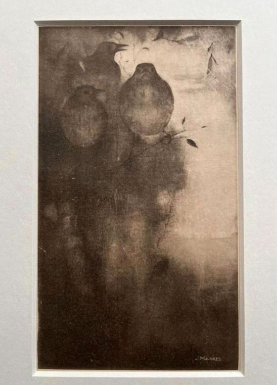 Image 1 of Jan Mankes 1889-1920 / Original Heliogravüre Drosseln in der Abenddämmerung 1923