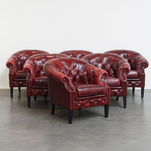 6 x Beef leather chesterfield club chair in a red color