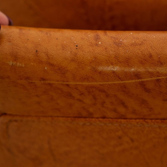 Image 1 of Piumotto bank van Arrigo Arrighi voor Busnelli