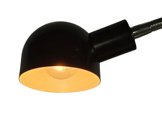 Image 1 of Hala Zeist - Collo flessibile - Lampada a morsetto - Metallo - Olanda - Anni '60