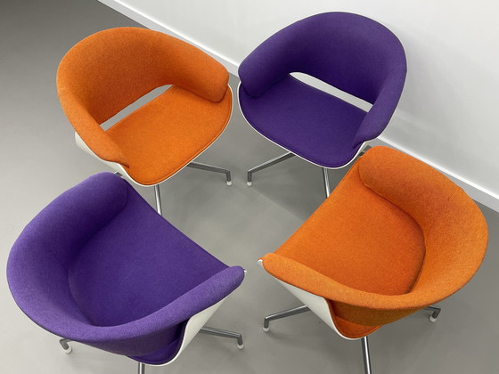 Image 1 of B&B Italia Sina Schalensitze 4 Stück