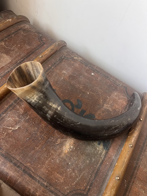 Vaso antico in corno di bufalo