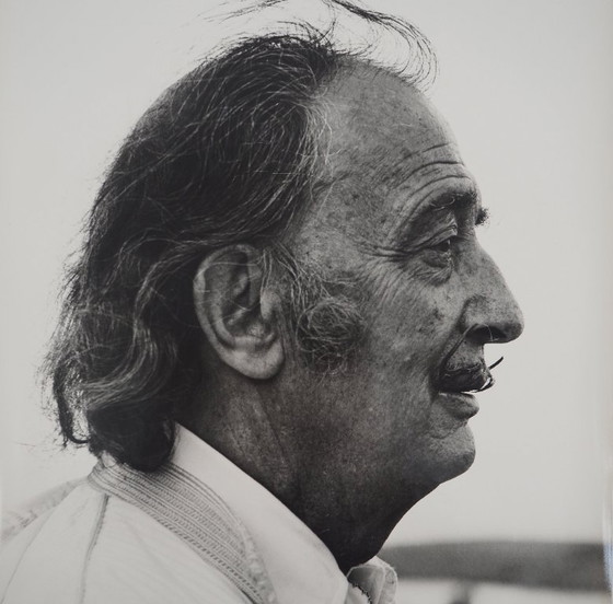 Marc Lacroix: Dali blickt in die Ferne, Originalfotografie mit Signatur – Paper (photo 3 of 6)