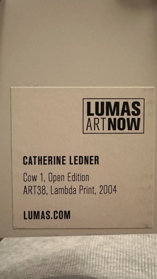 Lumas - Catherine Ledner 2004
