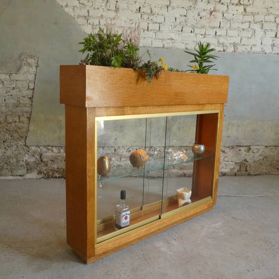 Verlichte plantenbak vitrine uit de jaren 50 – Glas, Vintage (photo 8 of 13)
