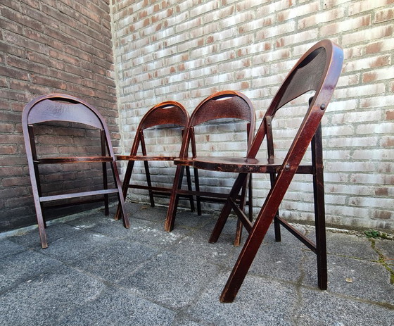 Image 1 of Sedie pieghevoli in legno n. B 751, Thonet Cosmos stampa coccodrillo