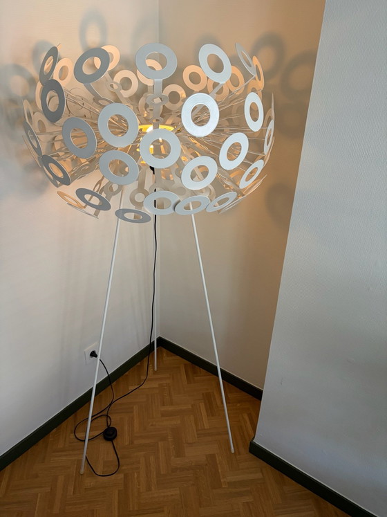Dandelion Stehleuchten Richard Hutten – Moooi, Metall, Kunststoff (photo 9 of 10)