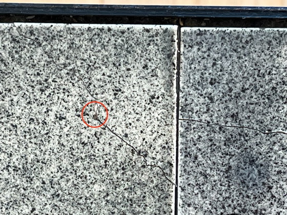 Image 1 of Vintage French coffee table from the Fifties with ceramic tiles