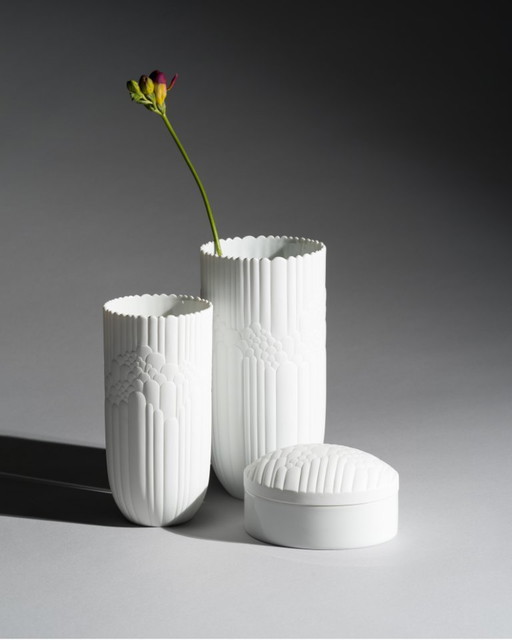 Rosenthal Anemone Porseleinen Trio Grote Vazen met Doos met Deksel van Rosemonde Nairac