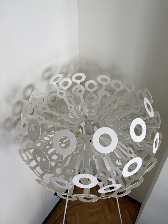 Dandelion Stehleuchten Richard Hutten – Moooi, Metall, Kunststoff (photo 7 of 10)
