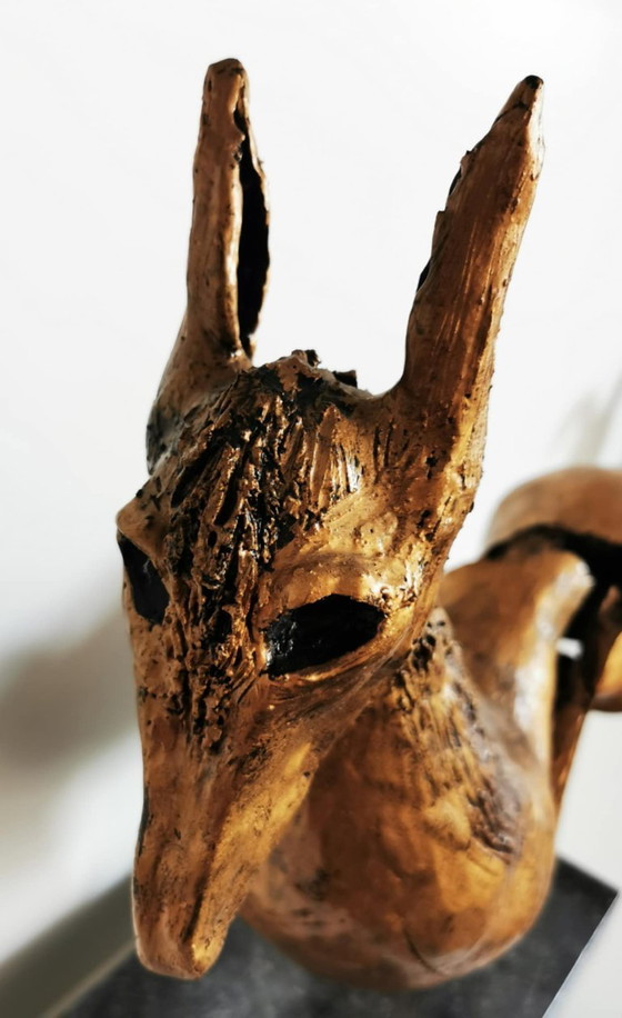 Image 1 of Burro al galope