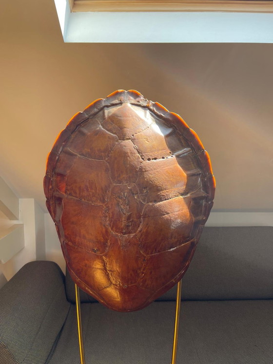 Image 1 of Zeldzame antieke lamp van echt schildpadschild - een echt verzamelobject