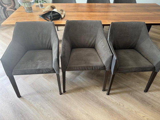 6 Leolux Pyrite Eetkamerstoelen Grijs – Esszimmerstühle, Leather, Wood (photo 3 of 6)