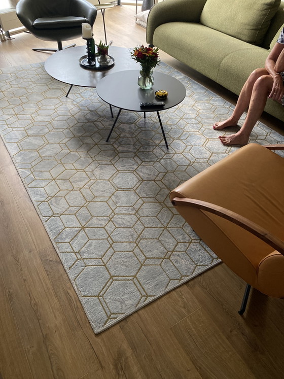 Image 1 of Leolux rug 300 x 200 cm