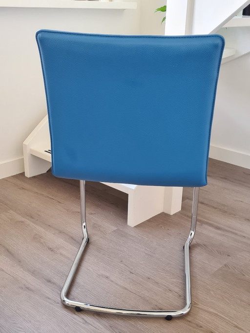 2 Leolux Freyer Esszimmerstühle, auch einzeln erhältlich