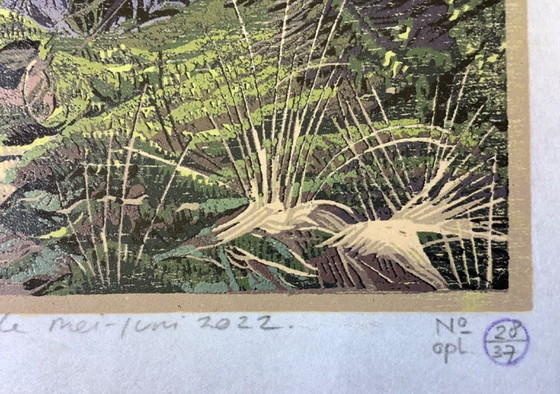 Estampe en couleurs de Siemens Dijkstra – Lithographies et sérigraphies, Wood (photo 5 of 14)