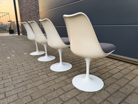 Image 1 of 4x original Knoll Tulip dining chairs by Eero Saarinen