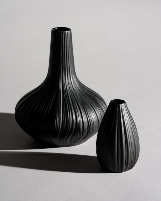 Image 1 of Rosenthal Porcelaine Noire “Plissée” Curated Duo by Martin Freyer Matte Black