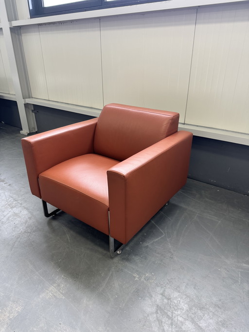 Artifort Mare Armchair