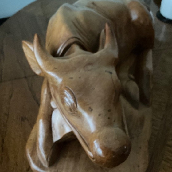 Image 1 of Water Buffalo from Indonesia “Unica”