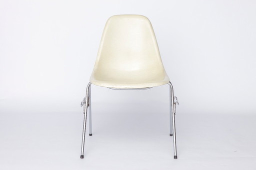 Charles Eames Fiberglasstuhl – Modell DSS, Mid-Century-Modern-Design der 1950er Jahre, Vintage-Original mit Metallgestell