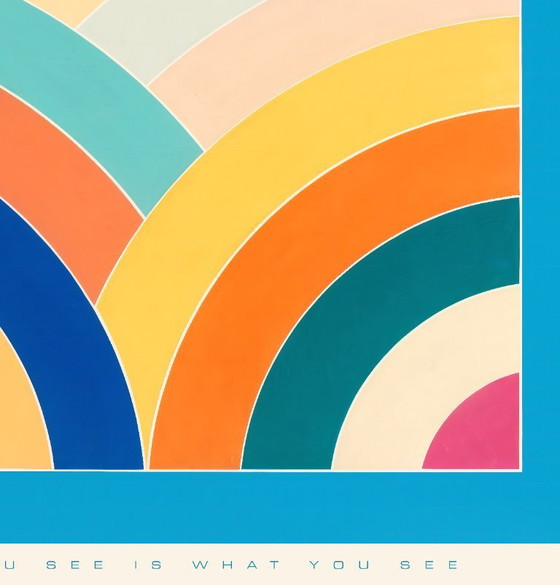 Image 1 of What you see is what you see - Frank Stella poster 50 × 70 cm