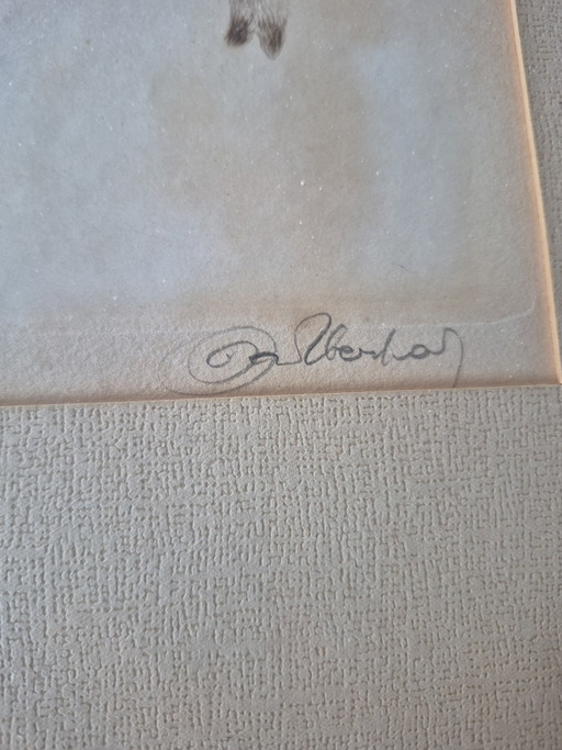 Original Color Etching "Stehendes Rehkitz" – Kurt Meyer-Eberhardt – Limited Edition 31/50 (Hand-signed) (photo 2 of 5)
